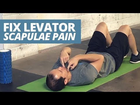 3 Reasons You Have LEVATOR SCAPULAE Pain (and how to fix it)