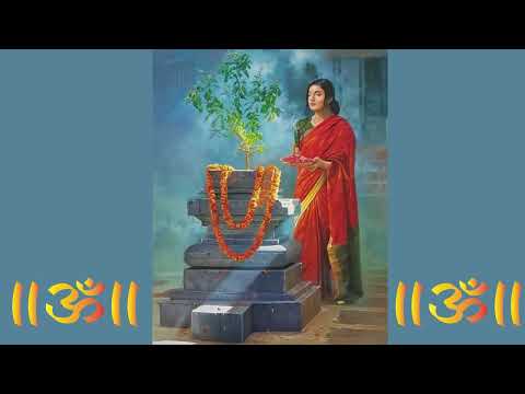 Jai Jai Tulsi Mata जय जय तुलसी माता