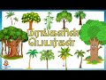 மரங்களின் பெயர்கள் Marangalin Peyargal Learn Trees Name In Tamil W