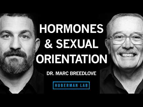 @hubermanlab - "How Hormones Shape Sexual Orientation & Behavior | Dr. Marc Breedlove"