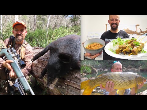 Hunter/Harvester 9 | Forest Hunt | Venison Satay | Big Carp