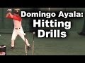 Domingo Ayala Hitting Drills