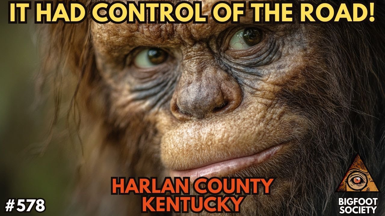 Face to Face as it Crossed the Road! | Harlan County, Kentucky