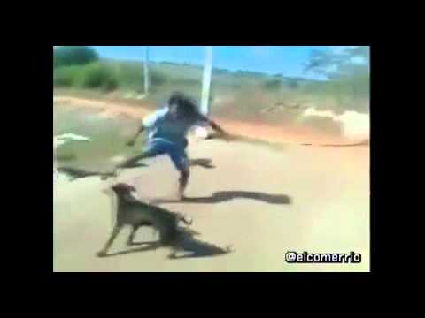 Técnica para defenderse de lo perros