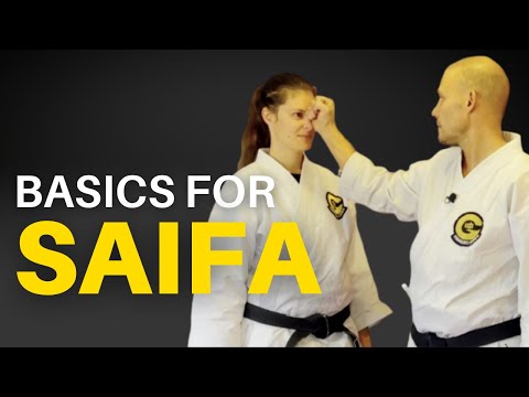 Saifa Kata Goju Ryu -  Improve Your Basics