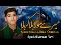 Mairay Mola Bula Karbala Karbala Ali Ammar New Noha 2026 Muharram 1448 2026 Nohay2026
