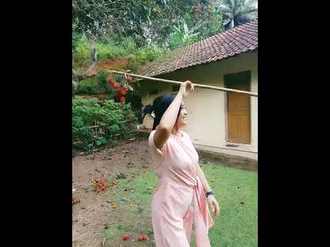 Susi Ngapak Panen Rambutan