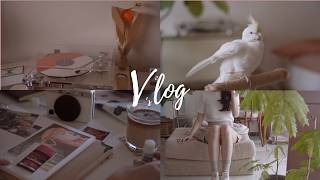 Vlog | 時隔一年的更新 近況聊聊 | 花、黑膠與咖啡間的日常