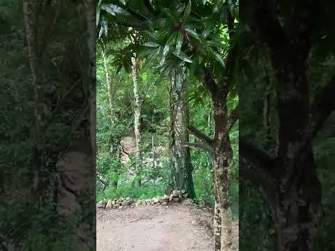 Aumenta el caudal del río Minca por las fuertes lluvias
