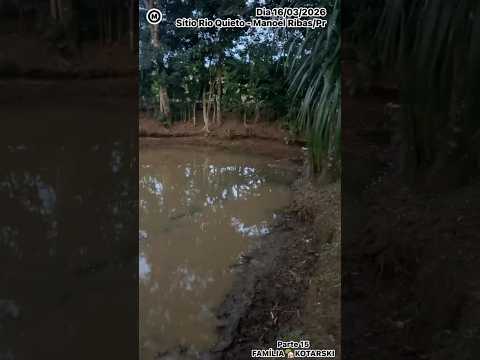 #Sítio #RioQuieto #Parte15 #dia08 e 16/03/26 #ManoelRibas #Paraná #Brasil #natureza #BelezasdaRegião