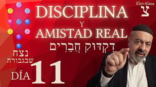 DÍA 11 — Precisión con Compañeros: Cuando la Amistad Afila el Hierro | 49 Niveles del Omer