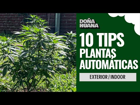 AUTOMATIC - INDOOR AND OUTDOOR