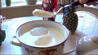 The Best Yogurt Recipe making any amount of Your Favorite Yogurt in 12 Hours | Homemade Yogurt | DIY