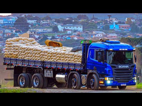 SÁBADOU NA ONDA DO REGGAE!!