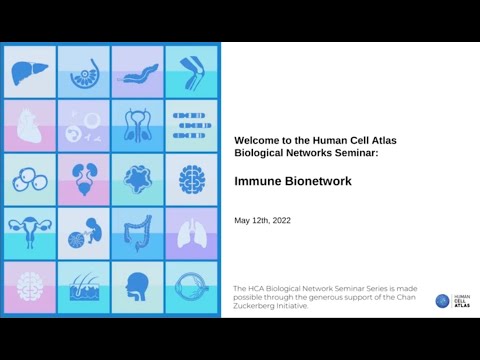 HCA Biological Networks Seminar Series: Immune Bionetwork
