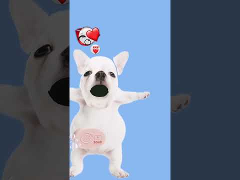 27 de octubre de 2025