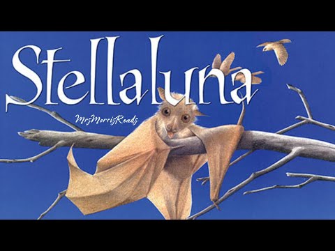 STELLALUNA   Read Aloud