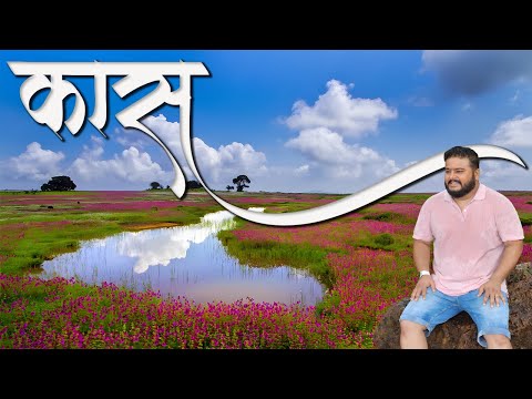 Come Explore Kas, Satara With Us Inepisode 4