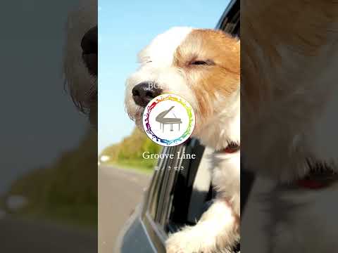 【Groove Line（音ノきせき）】　#jazzfusion #jazzpiano #groovejazz #upbeatjazz #shorts