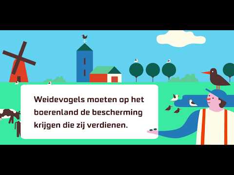 Eis #2: Aandacht voor weidevogels