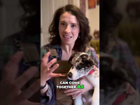 Climate Crisis WARNING: Our Future is HOSTILE, But We Can Unite! #shorts