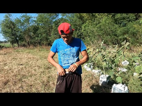 Tarong ni Andres - Baak Andres