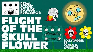 Video thumbnail for Lollygagger FX Canaglia Overdrive: Flight Of The Skull Flower (Pedal Demo) by Pedal Scopic Sounds