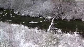 preview picture of video 'Head of Metolius River, USA. Исток р. Метолиус, США (polozov-207)'