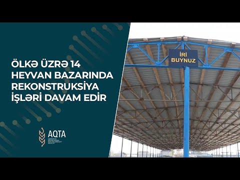 Ölkə üzrə 14 heyvan bazarında rekonstruksiya işləri davam edir