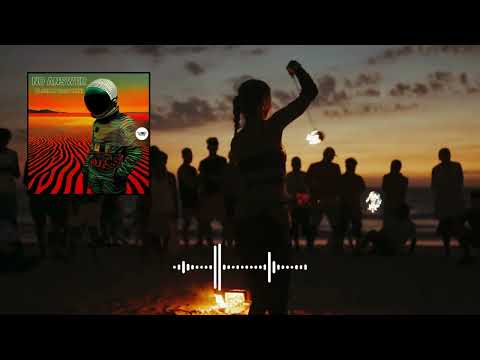 Florian Gasperini - No Answer [Camel VIP Records]