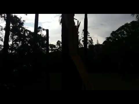 Tempestade em Guanhães minha cidade