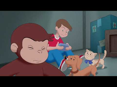 Jorge el Curioso en Español🐵Jorge y los Cinco Sentidos 🐵Caricaturas para Niños🐵Para niños