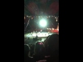 Acrobats At The Circus