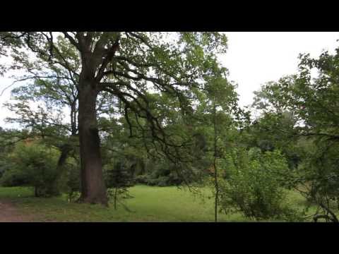 Emisiunea Lumea Noua - Simeria