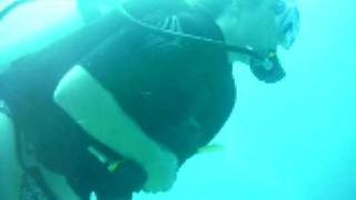 preview picture of video 'Tyll's Dive Shop Roatan Honduras'