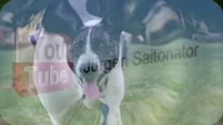 A Salty Dog-- Procol Harum ( Cover : Jürgen Saitonator )