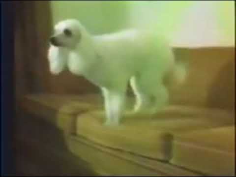 It smells like mother's crazy sister Kate.