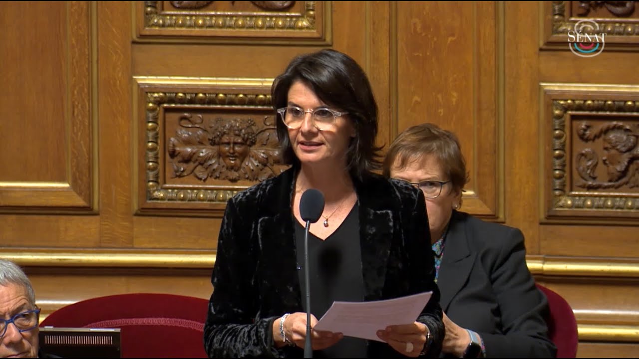 Intervention d’Anne VENTALON dans le débat sur la prédation du loup et le pastoralisme