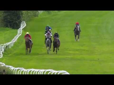 2016.08.04 Lanwades Stud Stakes (NOR) - Hoku