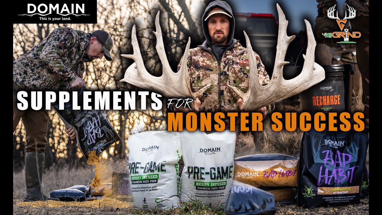 Supplements For Monster Success - Attract More Big Bucks!