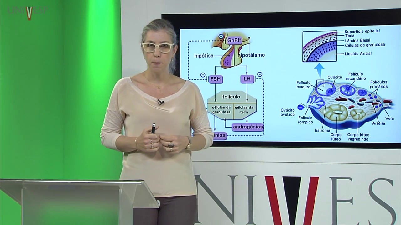 Corpo Humano: Órgãos e Sistemas - Aula 26 - Aspectos Anatomofuncionais