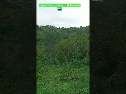Peaceful Morning in Santa Cruz Michapa 🌿 | Pineapple Plants & Lush Green Fields #countryside #nature