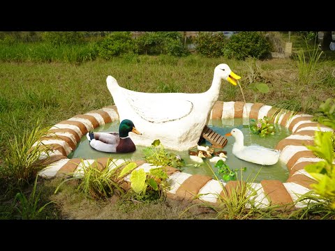 , title : 'Bebek Raksasa - Membuat Kandang Bebek Dari Tanah Liat - Kandang Bebek Gabungkan Dengan Kolam Bebek Untuk Kebun Anda'