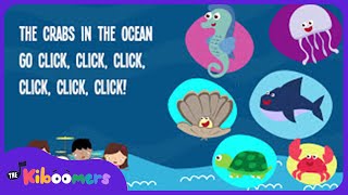 Animals In The Ocean Lyric Video - The Kiboomers P