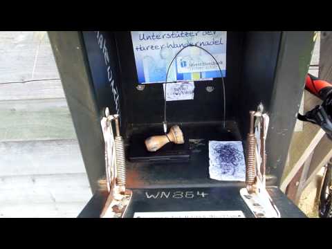 Stempelstelle 6 Obere Ilsefälle Bremer Hütte - Harzer Wandernadel