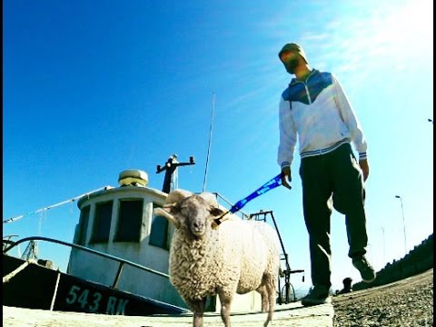 jAHBA vAKrU -  Fiša'man [sTaRi ChobaN Edit] - Ribarska ®G Dub HoP