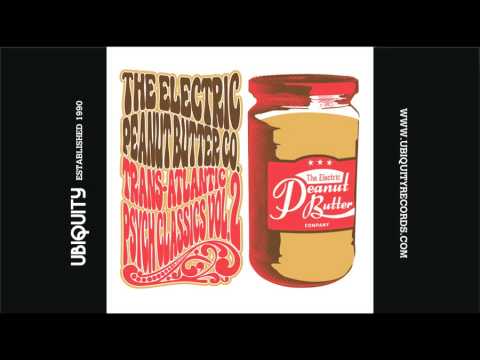 THE ELECTRIC PEANUT BUTTER COMPANY - DREAMS (Fleetwood Mac Cover)