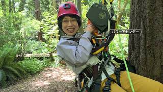自然体の、カナダへ　新たな景色と出会う、ツリークライミング