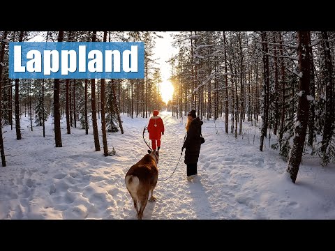 7 TAGE LAPPLAND im Winter 🇫🇮 | Nordlichter, Huskies und Co. | Vlog 6
