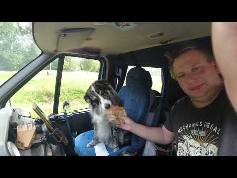 Puolijoutavaa välipätkää katsojille